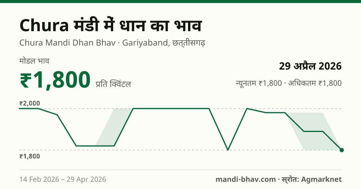 Chura मंडी में धान का भाव 29 अप्रैल 2026: मोडल ₹1,800 प्रति क्विंटल, भाव के रुझान का चार्ट