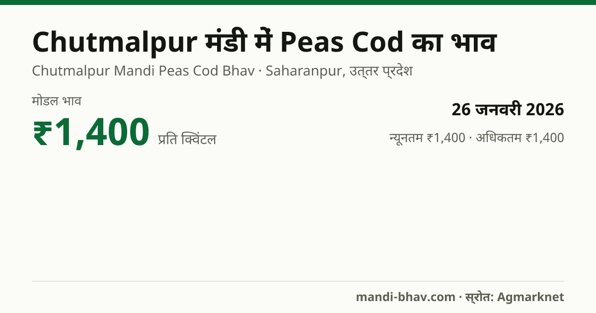Chutmalpur मंडी में Peas Cod का भाव 26 जनवरी 2026: मोडल ₹1,400 प्रति क्विंटल, भाव के रुझान का चार्ट