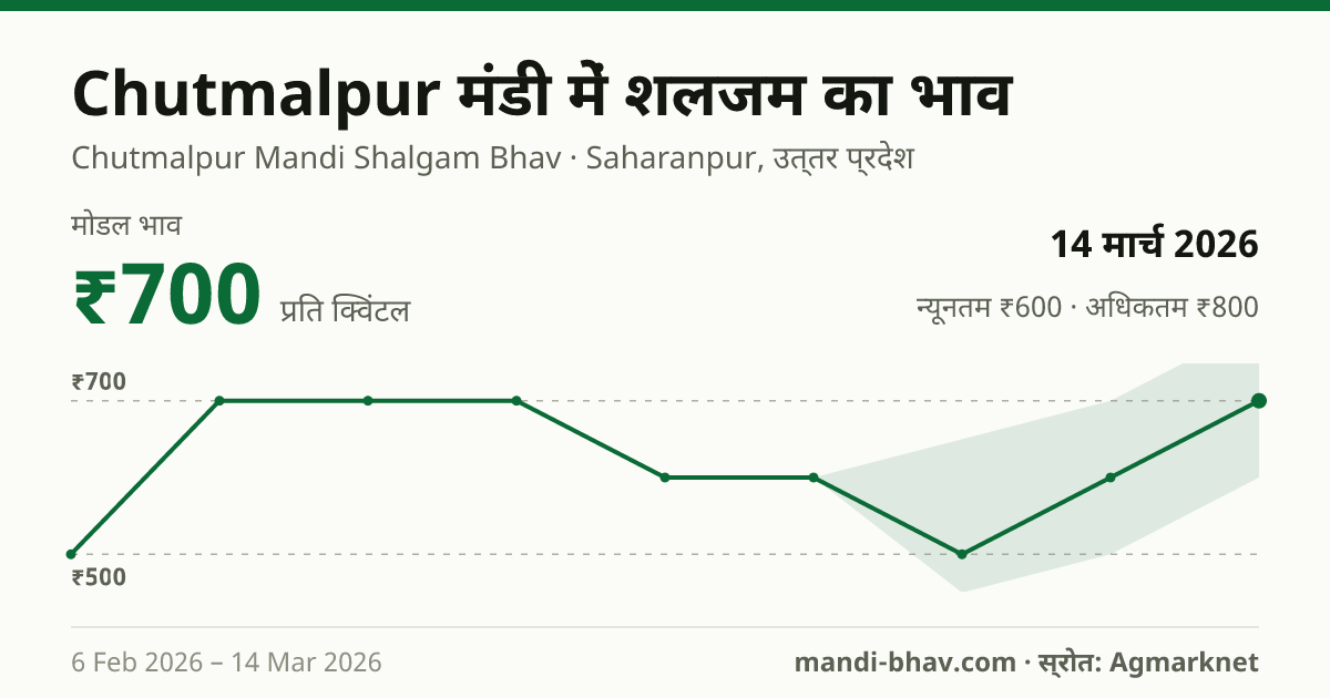 Chutmalpur मंडी में शलजम का भाव 14 मार्च 2026: मोडल ₹700 प्रति क्विंटल, भाव के रुझान का चार्ट