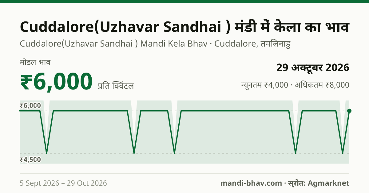 Cuddalore(Uzhavar Sandhai ) मंडी में केला का भाव 29 अक्टूबर 2026: मोडल ₹6,000 प्रति क्विंटल, भाव के रुझान का चार्ट