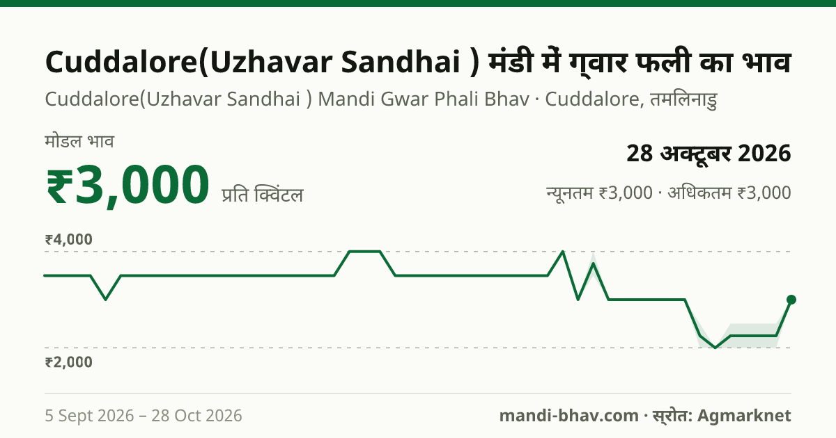 Cuddalore(Uzhavar Sandhai ) मंडी में ग्वार फली का भाव 28 अक्टूबर 2026: मोडल ₹3,000 प्रति क्विंटल, भाव के रुझान का चार्ट