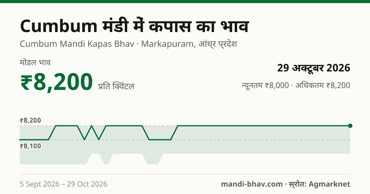 Cumbum मंडी में कपास का भाव 29 अक्टूबर 2026: मोडल ₹8,200 प्रति क्विंटल, भाव के रुझान का चार्ट