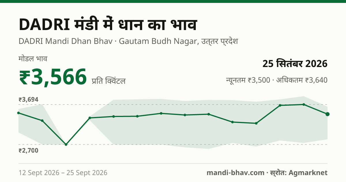 DADRI मंडी में धान का भाव 25 सितंबर 2026: मोडल ₹3,566 प्रति क्विंटल, भाव के रुझान का चार्ट