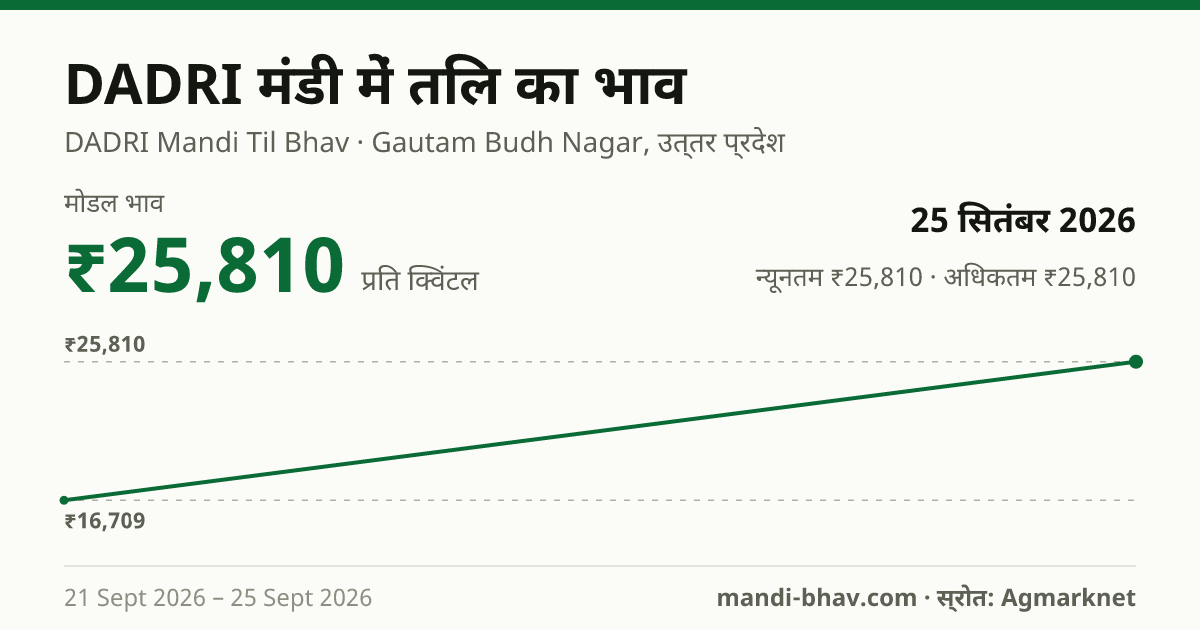 DADRI मंडी में तिल का भाव 25 सितंबर 2026: मोडल ₹25,810 प्रति क्विंटल, भाव के रुझान का चार्ट