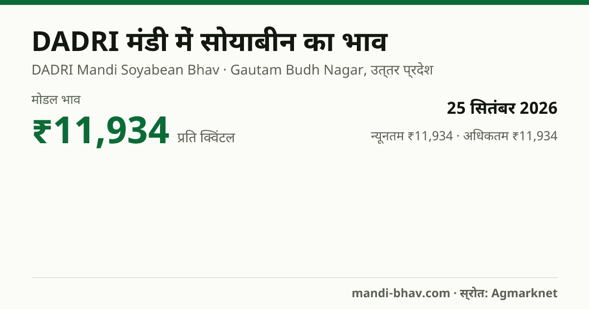 DADRI मंडी में सोयाबीन का भाव 25 सितंबर 2026: मोडल ₹11,934 प्रति क्विंटल, भाव के रुझान का चार्ट