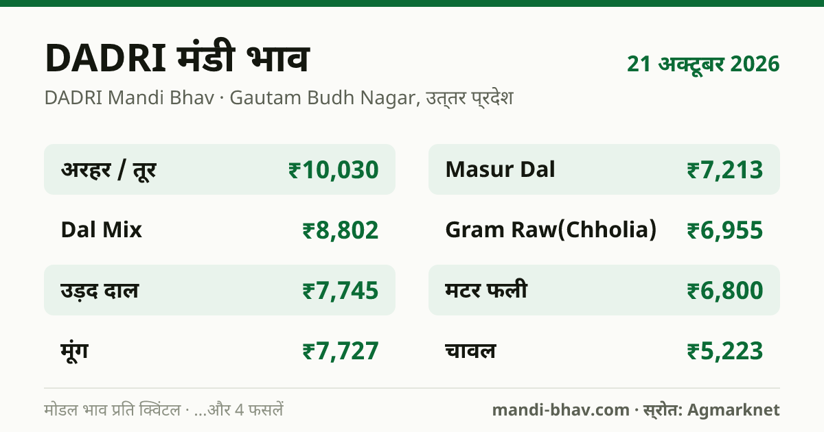 DADRI मंडी भाव 21 अक्टूबर 2026: फसलवार मोडल रेट प्रति क्विंटल