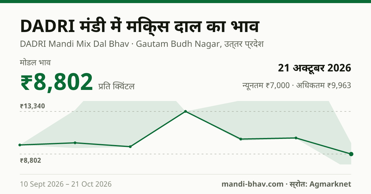 DADRI मंडी में Dal Mix का भाव 21 अक्टूबर 2026: मोडल ₹8,802 प्रति क्विंटल, भाव के रुझान का चार्ट