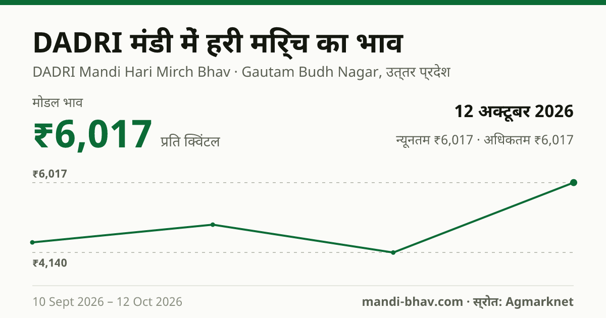 DADRI मंडी में हरी मिर्च का भाव 12 अक्टूबर 2026: मोडल ₹6,017 प्रति क्विंटल, भाव के रुझान का चार्ट