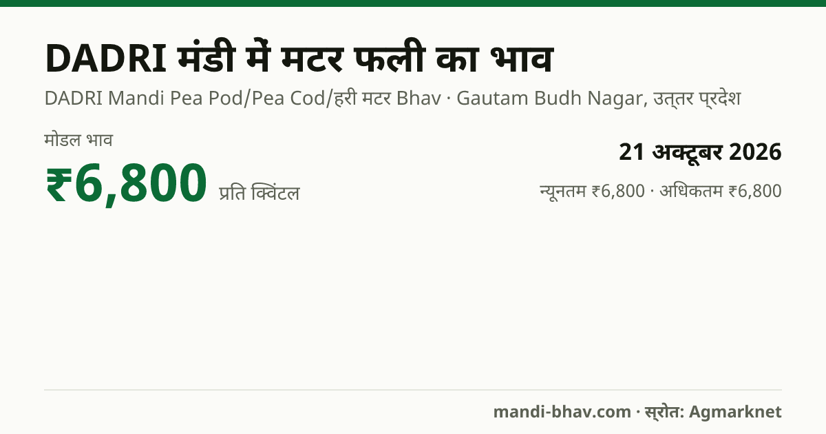 DADRI मंडी में मटर फली का भाव 21 अक्टूबर 2026: मोडल ₹6,800 प्रति क्विंटल, भाव के रुझान का चार्ट