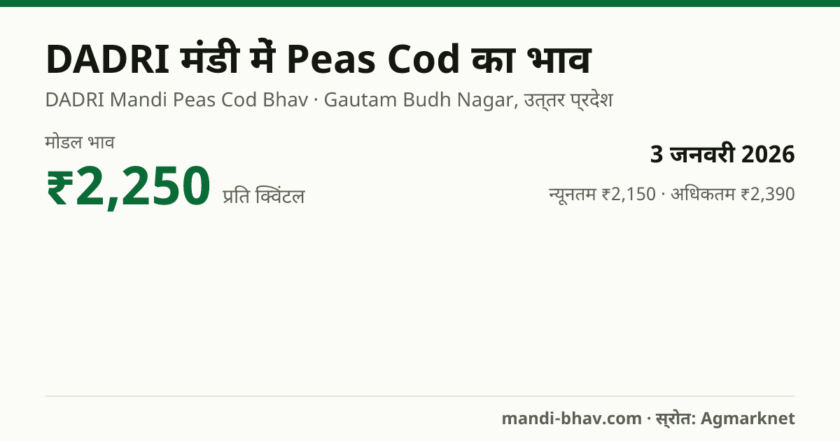 DADRI मंडी में Peas Cod का भाव 3 जनवरी 2026: मोडल ₹2,250 प्रति क्विंटल, भाव के रुझान का चार्ट