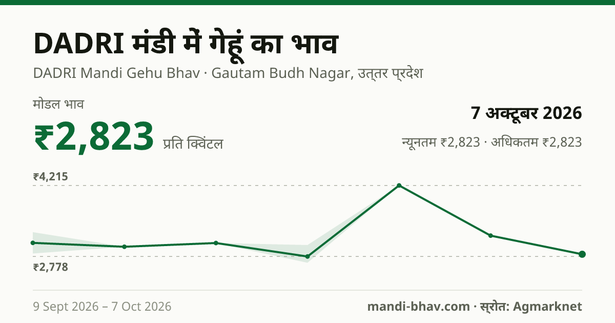 DADRI मंडी में गेहूं का भाव 7 अक्टूबर 2026: मोडल ₹2,823 प्रति क्विंटल, भाव के रुझान का चार्ट