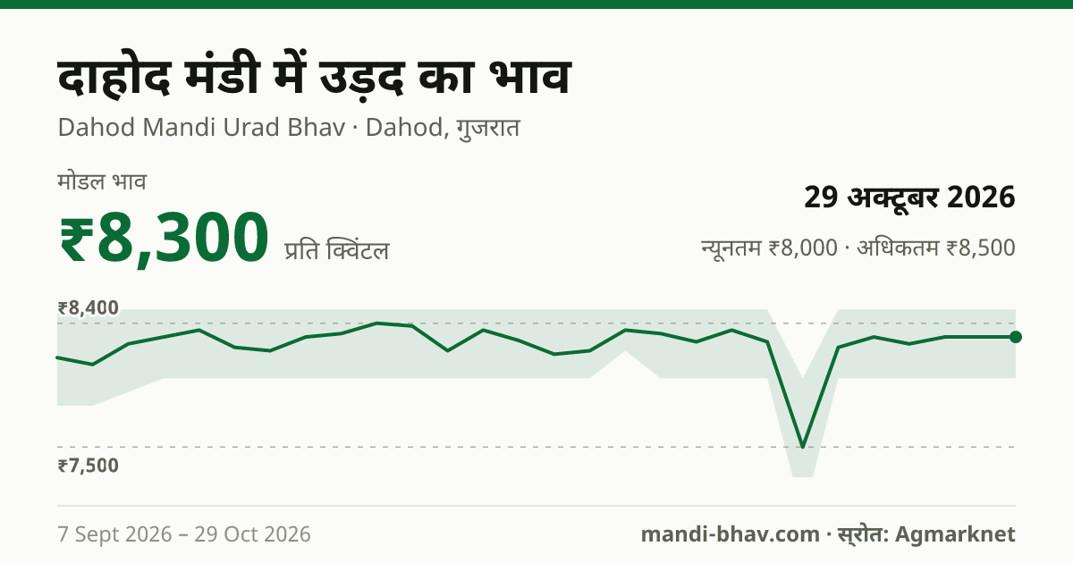 दाहोद मंडी में उड़द का भाव 29 अक्टूबर 2026: मोडल ₹8,300 प्रति क्विंटल, भाव के रुझान का चार्ट