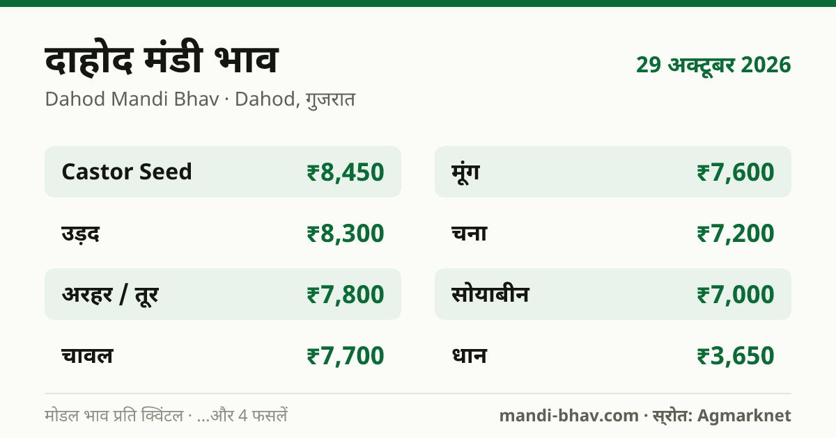 दाहोद मंडी भाव 29 अक्टूबर 2026: फसलवार मोडल रेट प्रति क्विंटल