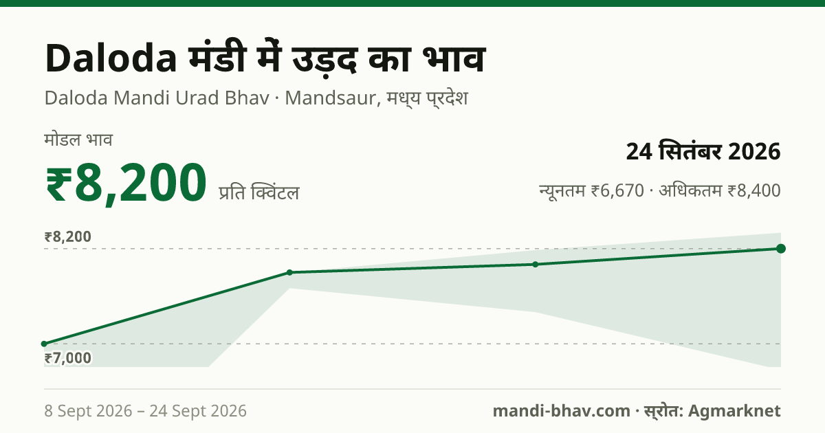 Daloda मंडी में उड़द का भाव 24 सितंबर 2026: मोडल ₹8,200 प्रति क्विंटल, भाव के रुझान का चार्ट