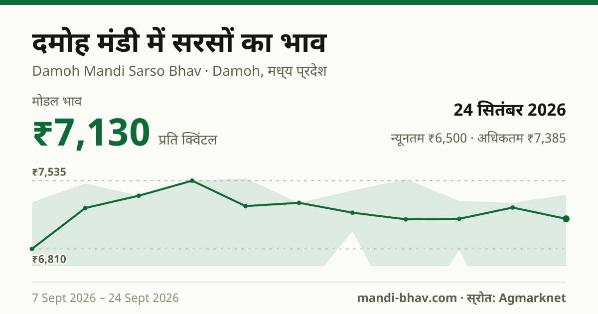 दमोह मंडी में सरसों का भाव 24 सितंबर 2026: मोडल ₹7,130 प्रति क्विंटल, भाव के रुझान का चार्ट