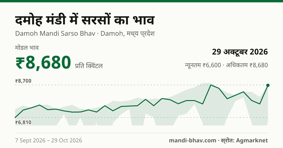 दमोह मंडी में सरसों का भाव 29 अक्टूबर 2026: मोडल ₹8,680 प्रति क्विंटल, भाव के रुझान का चार्ट
