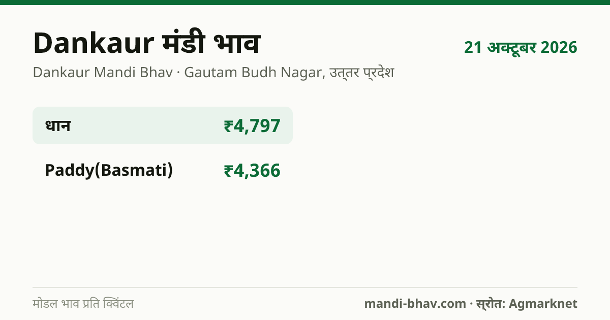 Dankaur मंडी भाव 21 अक्टूबर 2026: फसलवार मोडल रेट प्रति क्विंटल