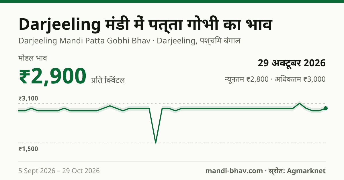 Darjeeling मंडी में पत्ता गोभी का भाव 29 अक्टूबर 2026: मोडल ₹2,900 प्रति क्विंटल, भाव के रुझान का चार्ट
