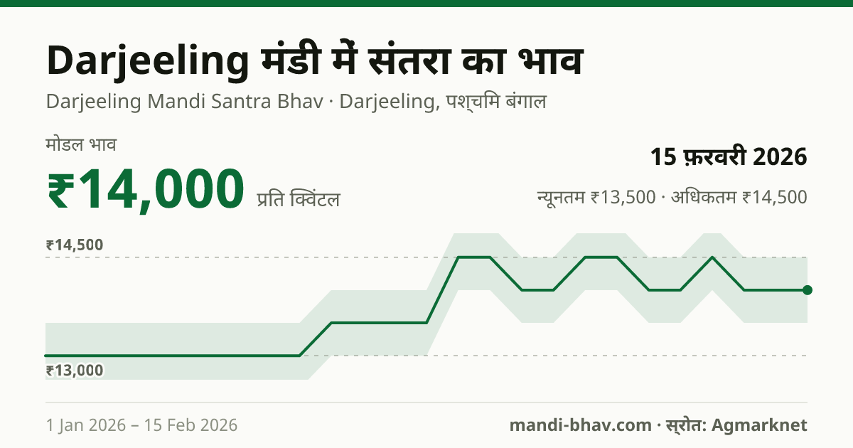 Darjeeling मंडी में संतरा का भाव 15 फ़रवरी 2026: मोडल ₹14,000 प्रति क्विंटल, भाव के रुझान का चार्ट