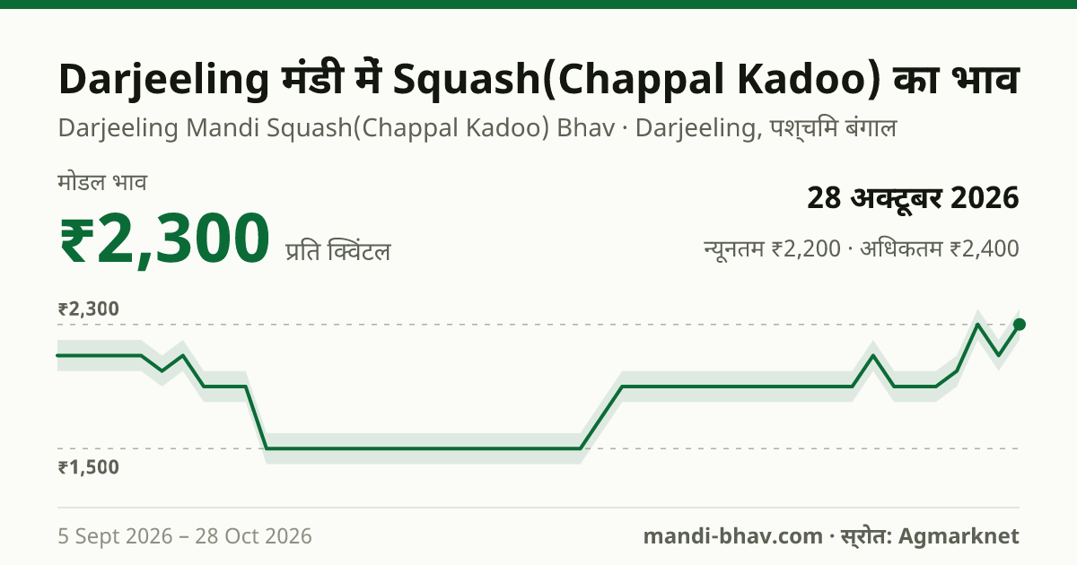 Darjeeling मंडी में Squash(Chappal Kadoo) का भाव 28 अक्टूबर 2026: मोडल ₹2,300 प्रति क्विंटल, भाव के रुझान का चार्ट
