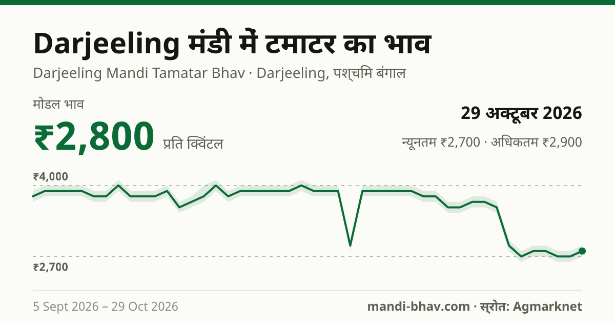 Darjeeling मंडी में टमाटर का भाव 29 अक्टूबर 2026: मोडल ₹2,800 प्रति क्विंटल, भाव के रुझान का चार्ट