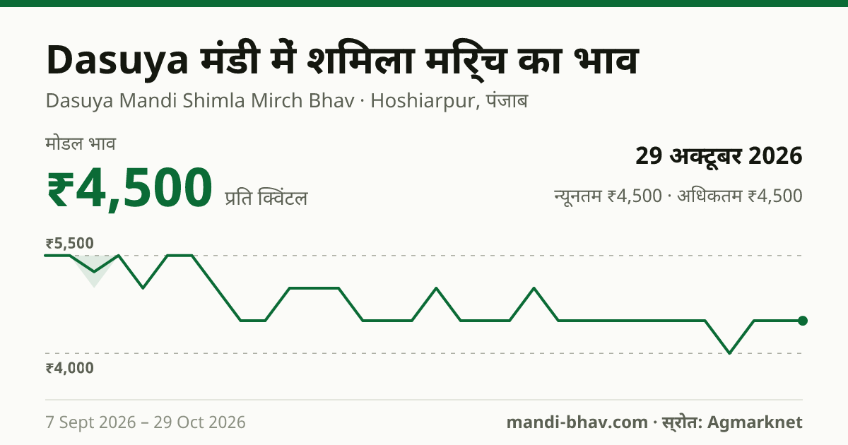 Dasuya मंडी में शिमला मिर्च का भाव 29 अक्टूबर 2026: मोडल ₹4,500 प्रति क्विंटल, भाव के रुझान का चार्ट