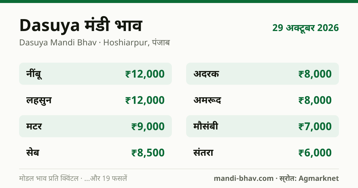 Dasuya मंडी भाव 29 अक्टूबर 2026: फसलवार मोडल रेट प्रति क्विंटल