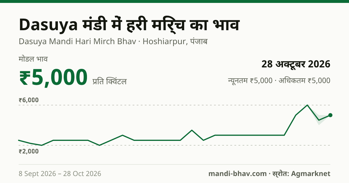 Dasuya मंडी में हरी मिर्च का भाव 28 अक्टूबर 2026: मोडल ₹5,000 प्रति क्विंटल, भाव के रुझान का चार्ट