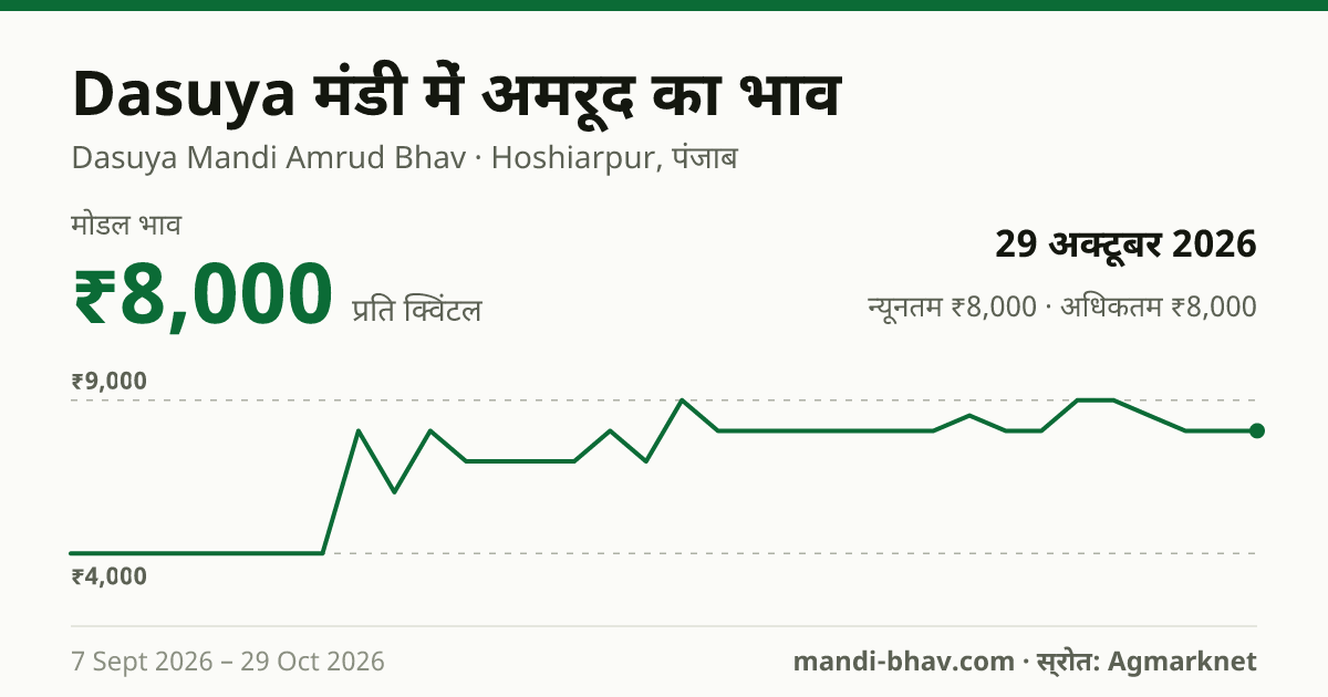 Dasuya मंडी में अमरूद का भाव 29 अक्टूबर 2026: मोडल ₹8,000 प्रति क्विंटल, भाव के रुझान का चार्ट
