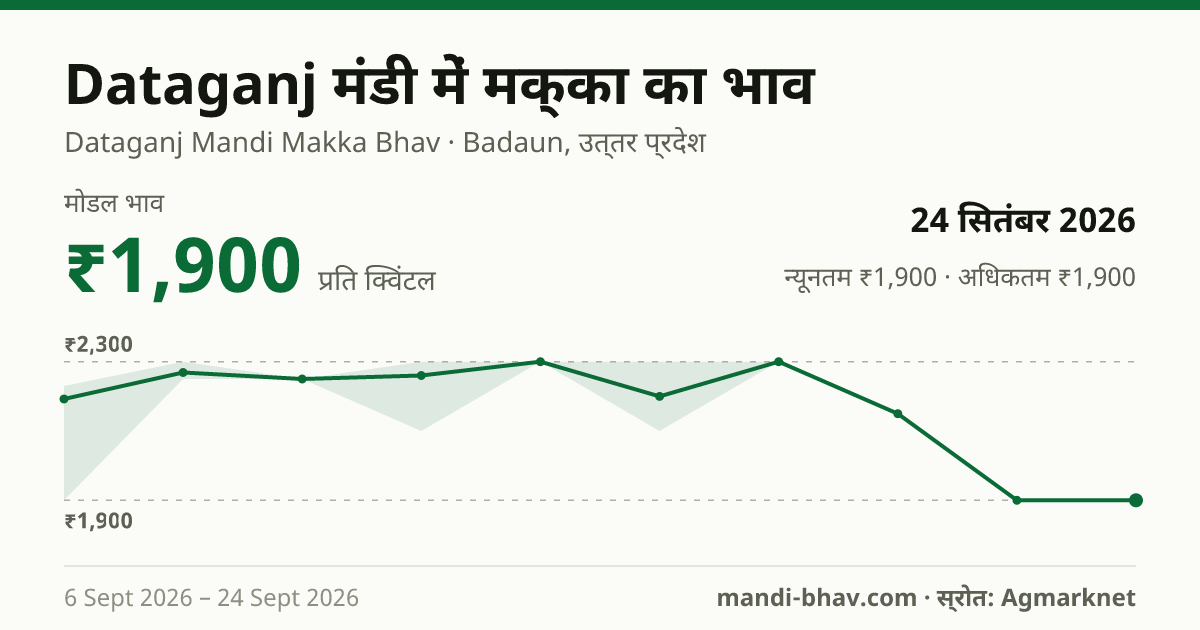 Dataganj मंडी में मक्का का भाव 24 सितंबर 2026: मोडल ₹1,900 प्रति क्विंटल, भाव के रुझान का चार्ट