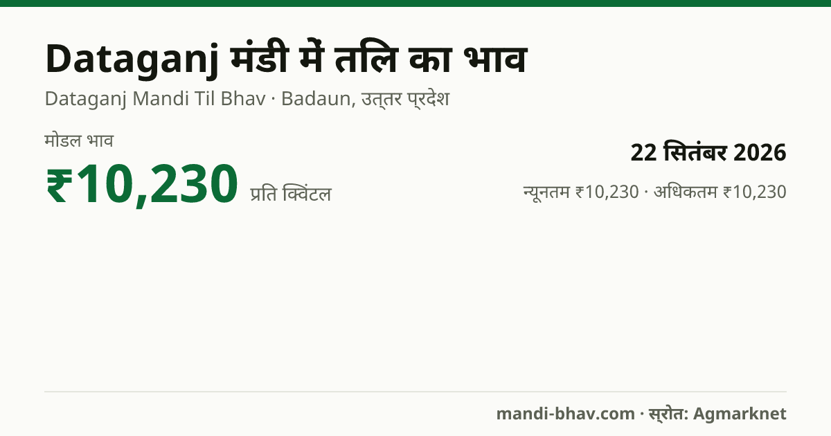 Dataganj मंडी में तिल का भाव 22 सितंबर 2026: मोडल ₹10,230 प्रति क्विंटल, भाव के रुझान का चार्ट