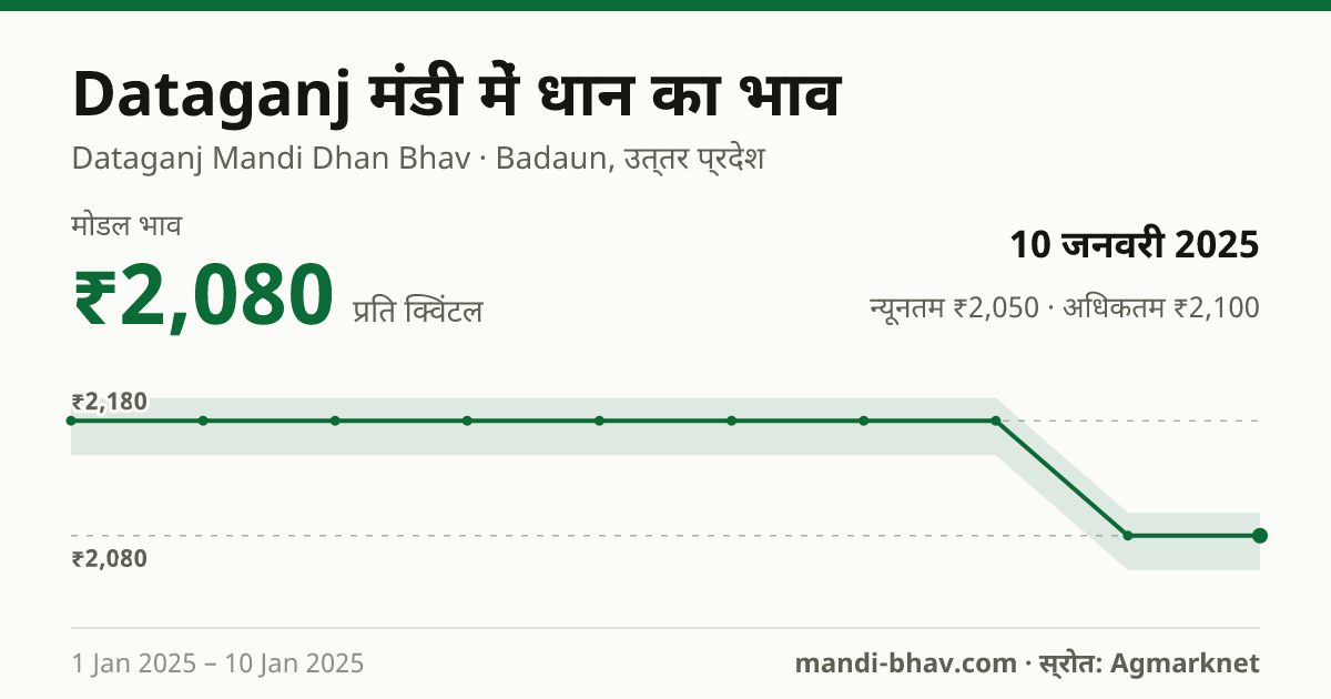Dataganj मंडी में धान का भाव 10 जनवरी 2025: मोडल ₹2,080 प्रति क्विंटल, भाव के रुझान का चार्ट
