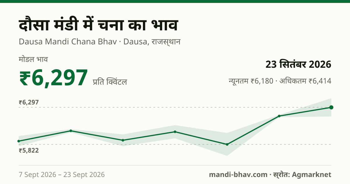 दौसा मंडी में चना का भाव 23 सितंबर 2026: मोडल ₹6,297 प्रति क्विंटल, भाव के रुझान का चार्ट