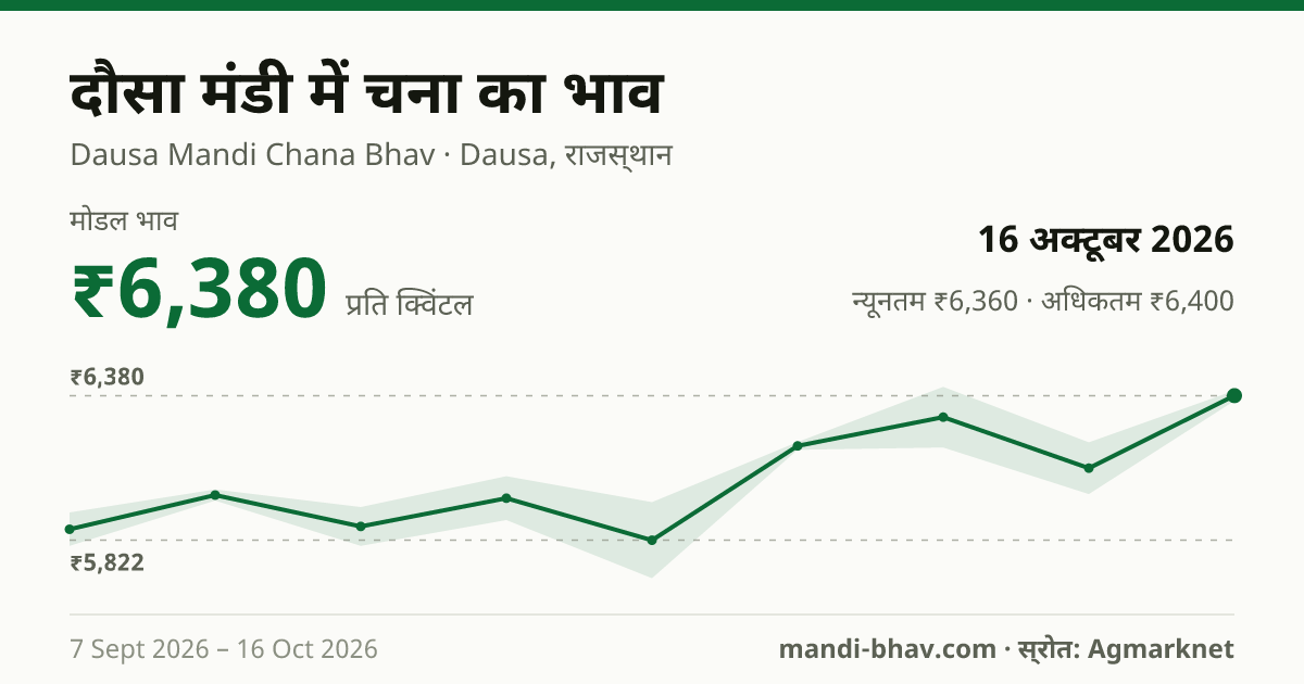 दौसा मंडी में चना का भाव 16 अक्टूबर 2026: मोडल ₹6,380 प्रति क्विंटल, भाव के रुझान का चार्ट