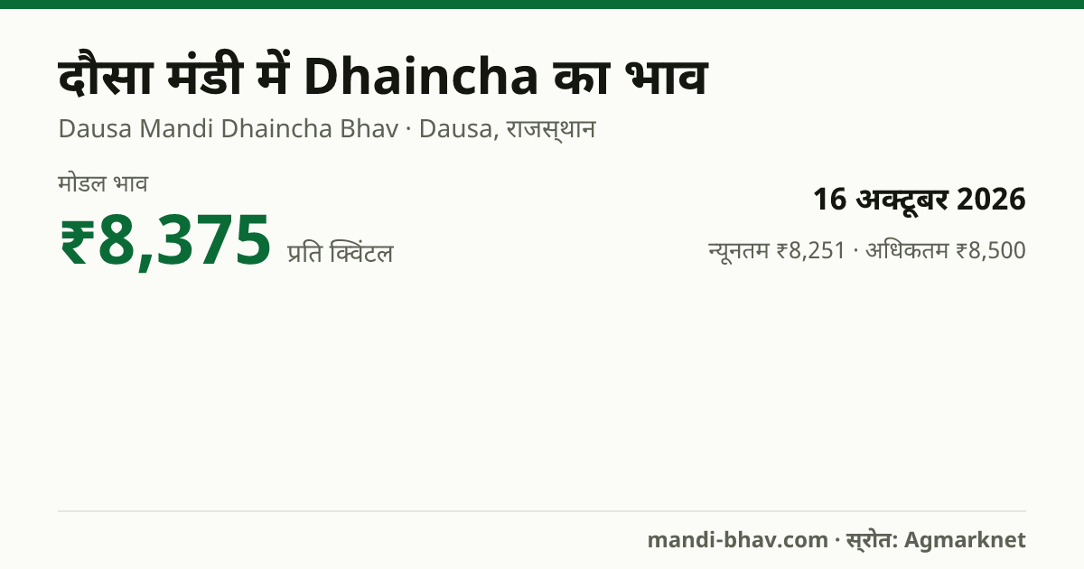 दौसा मंडी में Dhaincha का भाव 16 अक्टूबर 2026: मोडल ₹8,375 प्रति क्विंटल, भाव के रुझान का चार्ट