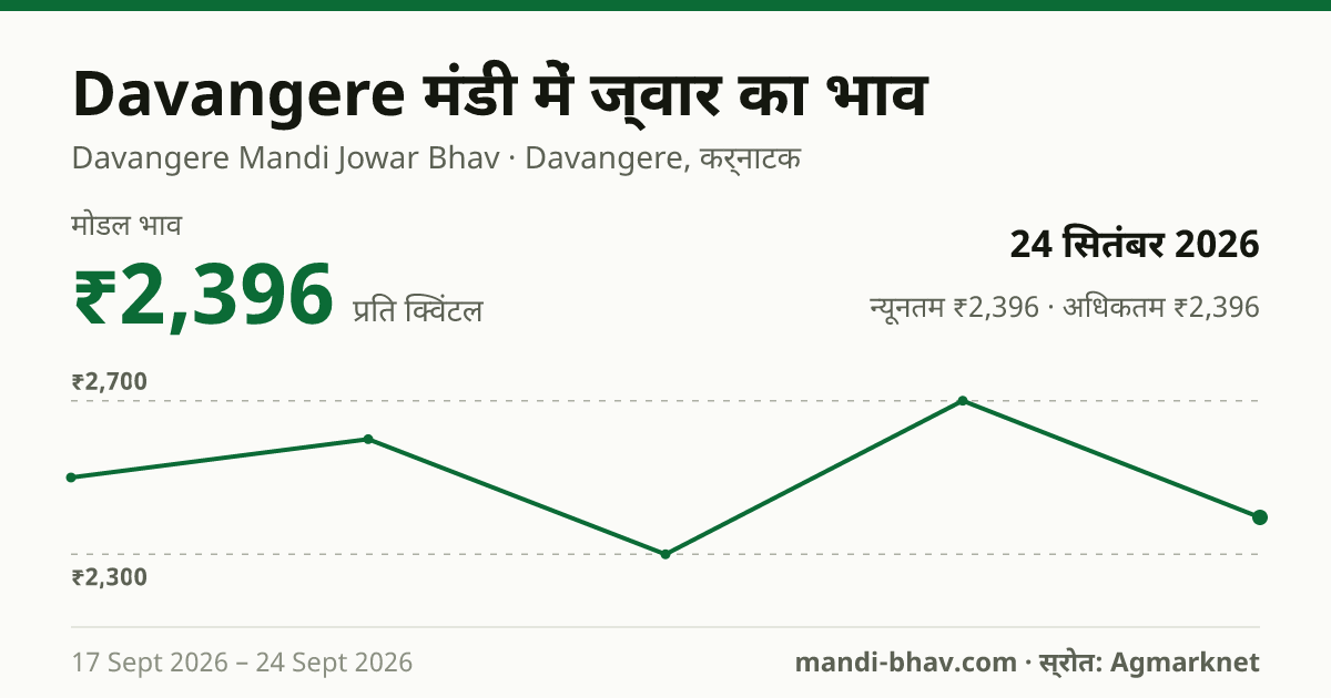 Davangere मंडी में ज्वार का भाव 24 सितंबर 2026: मोडल ₹2,396 प्रति क्विंटल, भाव के रुझान का चार्ट