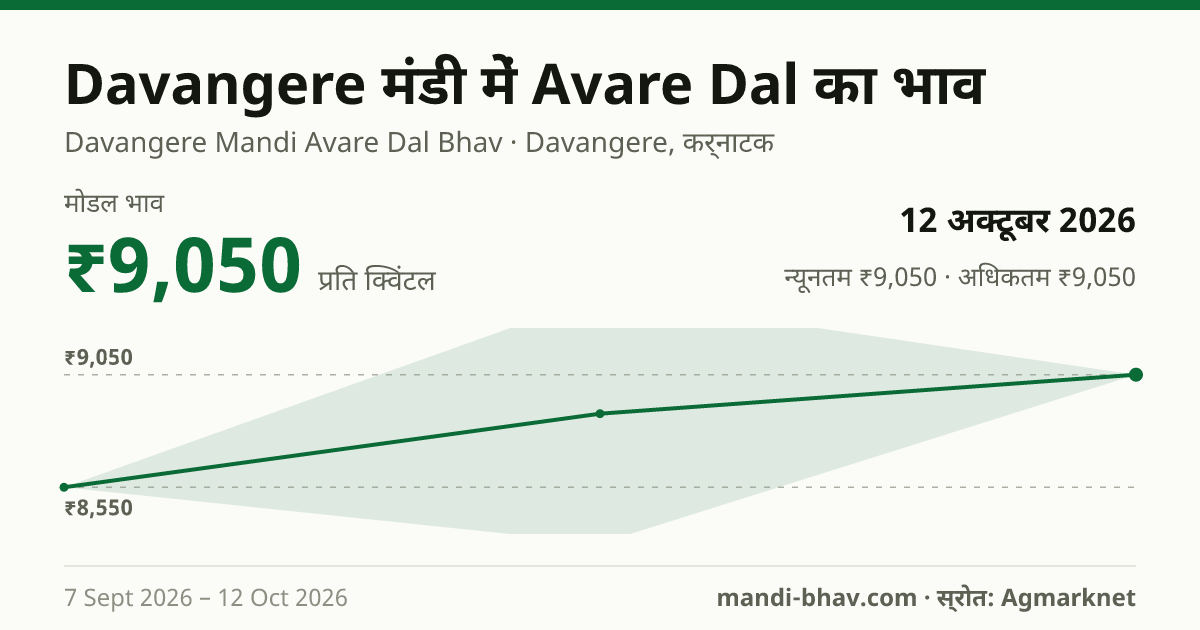 Davangere मंडी में Avare Dal का भाव 12 अक्टूबर 2026: मोडल ₹9,050 प्रति क्विंटल, भाव के रुझान का चार्ट