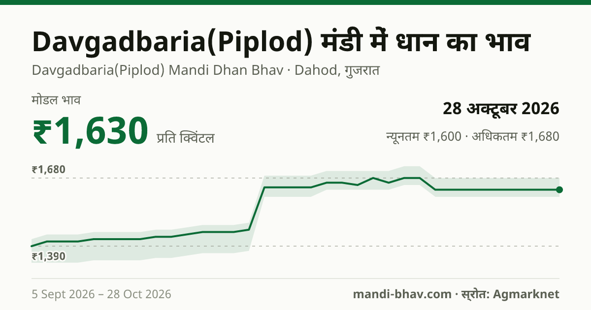 Davgadbaria(Piplod) मंडी में धान का भाव 28 अक्टूबर 2026: मोडल ₹1,630 प्रति क्विंटल, भाव के रुझान का चार्ट