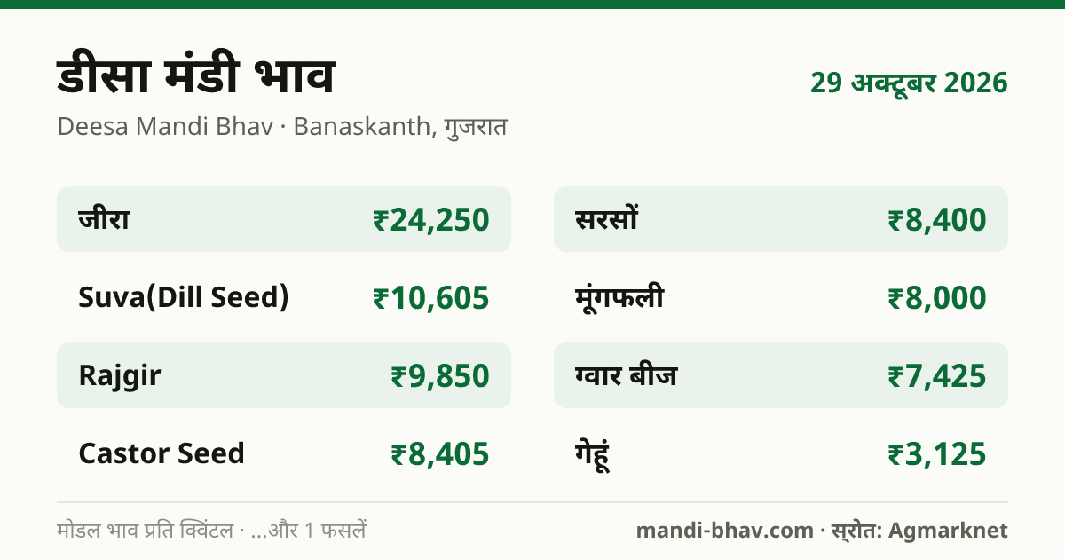 डीसा मंडी भाव 29 अक्टूबर 2026: फसलवार मोडल रेट प्रति क्विंटल