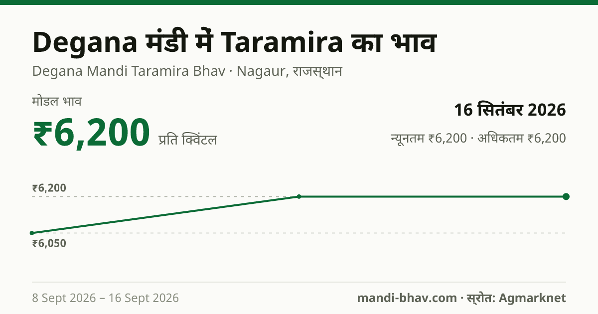 Degana मंडी में Taramira का भाव 16 सितंबर 2026: मोडल ₹6,200 प्रति क्विंटल, भाव के रुझान का चार्ट