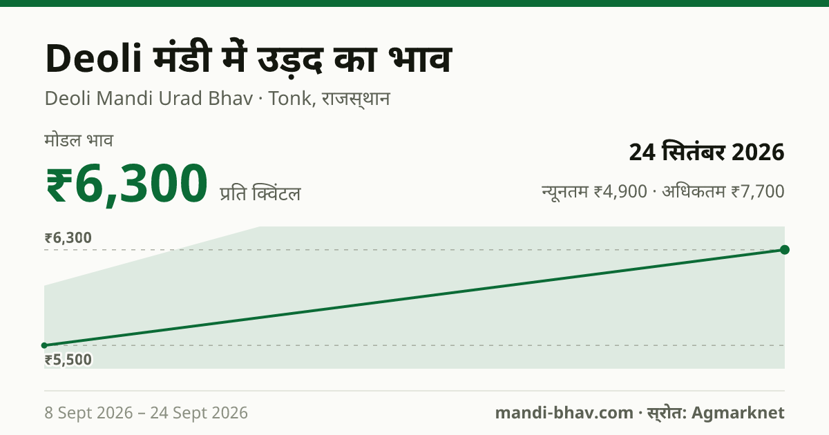 Deoli मंडी में उड़द का भाव 24 सितंबर 2026: मोडल ₹6,300 प्रति क्विंटल, भाव के रुझान का चार्ट