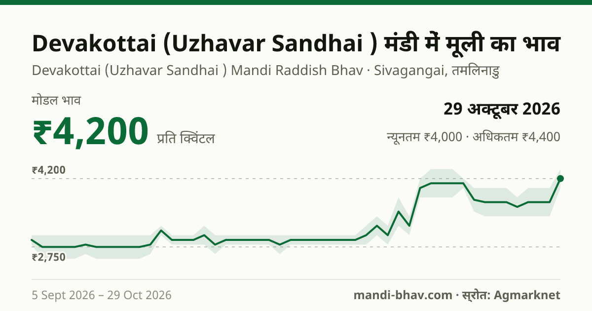 Devakottai (Uzhavar Sandhai ) मंडी में मूली का भाव 29 अक्टूबर 2026: मोडल ₹4,200 प्रति क्विंटल, भाव के रुझान का चार्ट