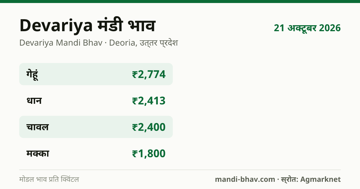 Devariya मंडी भाव 21 अक्टूबर 2026: फसलवार मोडल रेट प्रति क्विंटल