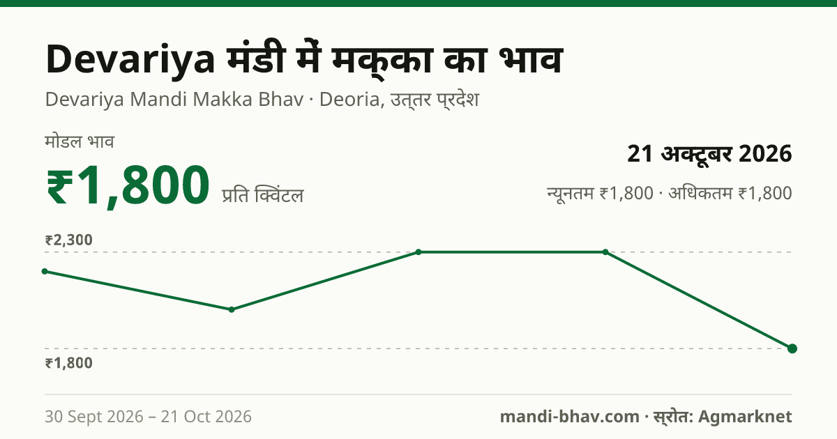 Devariya मंडी में मक्का का भाव 21 अक्टूबर 2026: मोडल ₹1,800 प्रति क्विंटल, भाव के रुझान का चार्ट