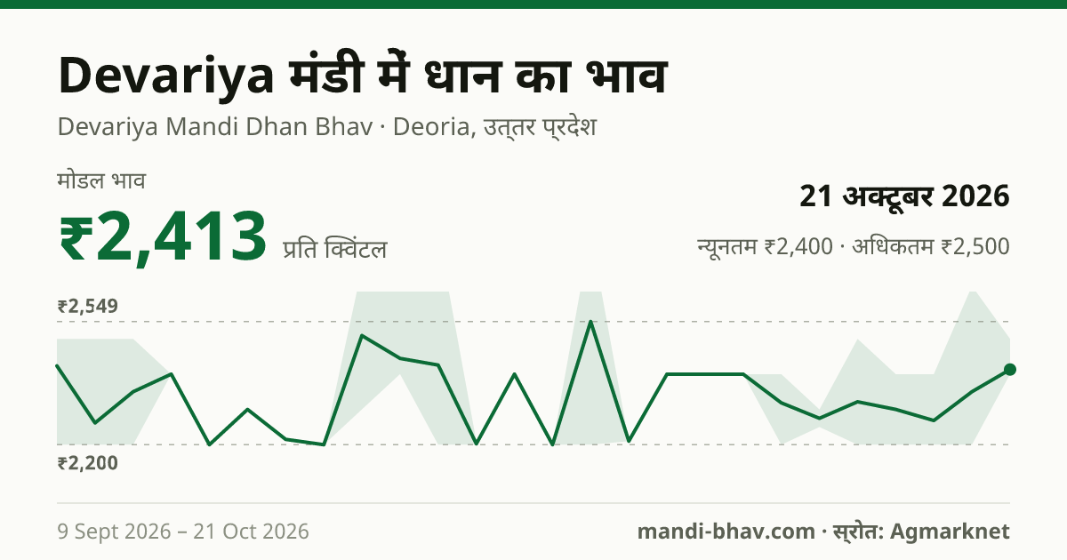 Devariya मंडी में धान का भाव 21 अक्टूबर 2026: मोडल ₹2,413 प्रति क्विंटल, भाव के रुझान का चार्ट