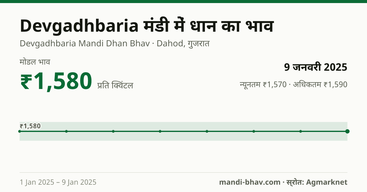 Devgadhbaria मंडी में धान का भाव 9 जनवरी 2025: मोडल ₹1,580 प्रति क्विंटल, भाव के रुझान का चार्ट