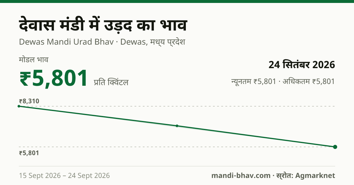 देवास मंडी में उड़द का भाव 24 सितंबर 2026: मोडल ₹5,801 प्रति क्विंटल, भाव के रुझान का चार्ट