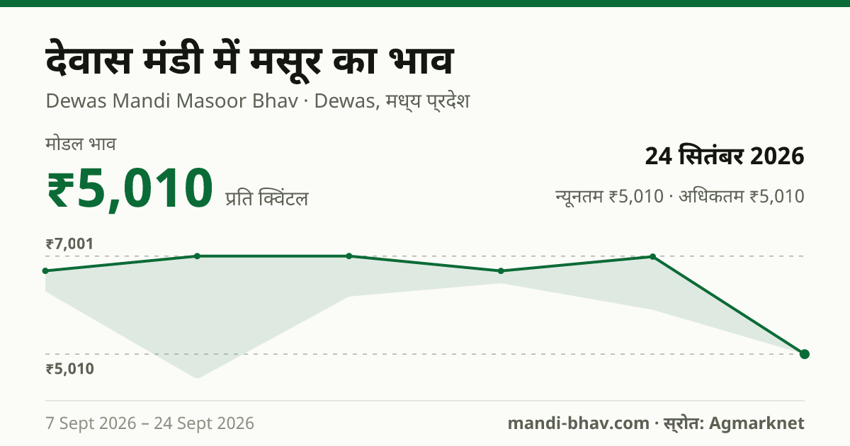 देवास मंडी में मसूर का भाव 24 सितंबर 2026: मोडल ₹5,010 प्रति क्विंटल, भाव के रुझान का चार्ट