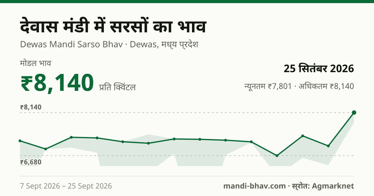 देवास मंडी में सरसों का भाव 25 सितंबर 2026: मोडल ₹8,140 प्रति क्विंटल, भाव के रुझान का चार्ट