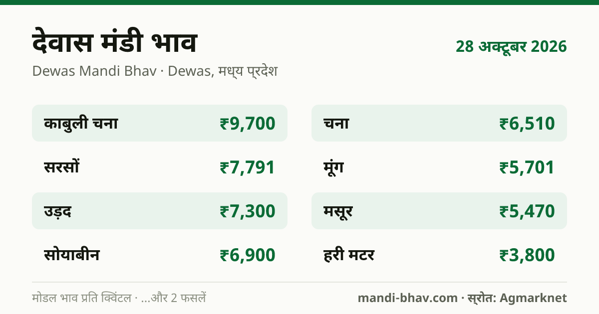 देवास मंडी भाव 28 अक्टूबर 2026: फसलवार मोडल रेट प्रति क्विंटल